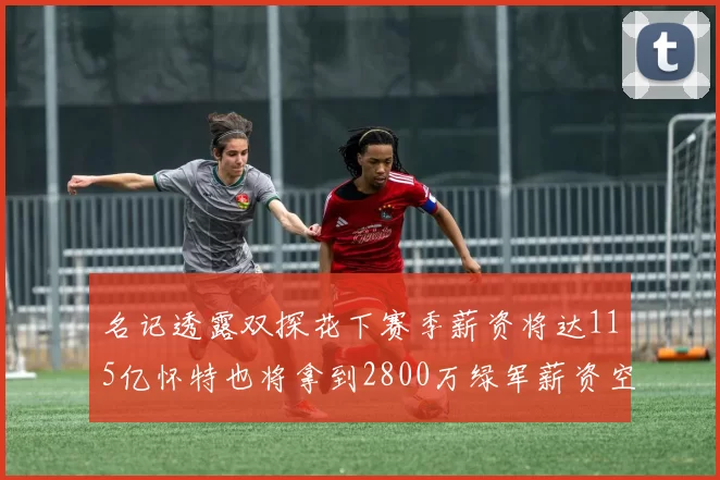 名记透露双探花下赛季薪资将达115亿怀特也将拿到2800万绿军薪资空间依旧紧张