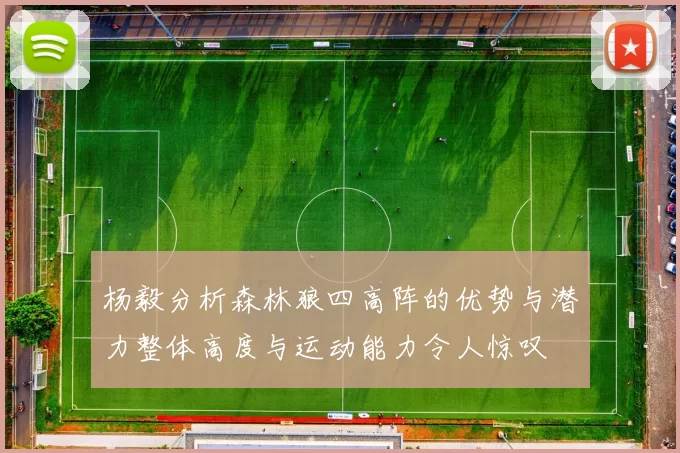 杨毅分析森林狼四高阵的优势与潜力整体高度与运动能力令人惊叹